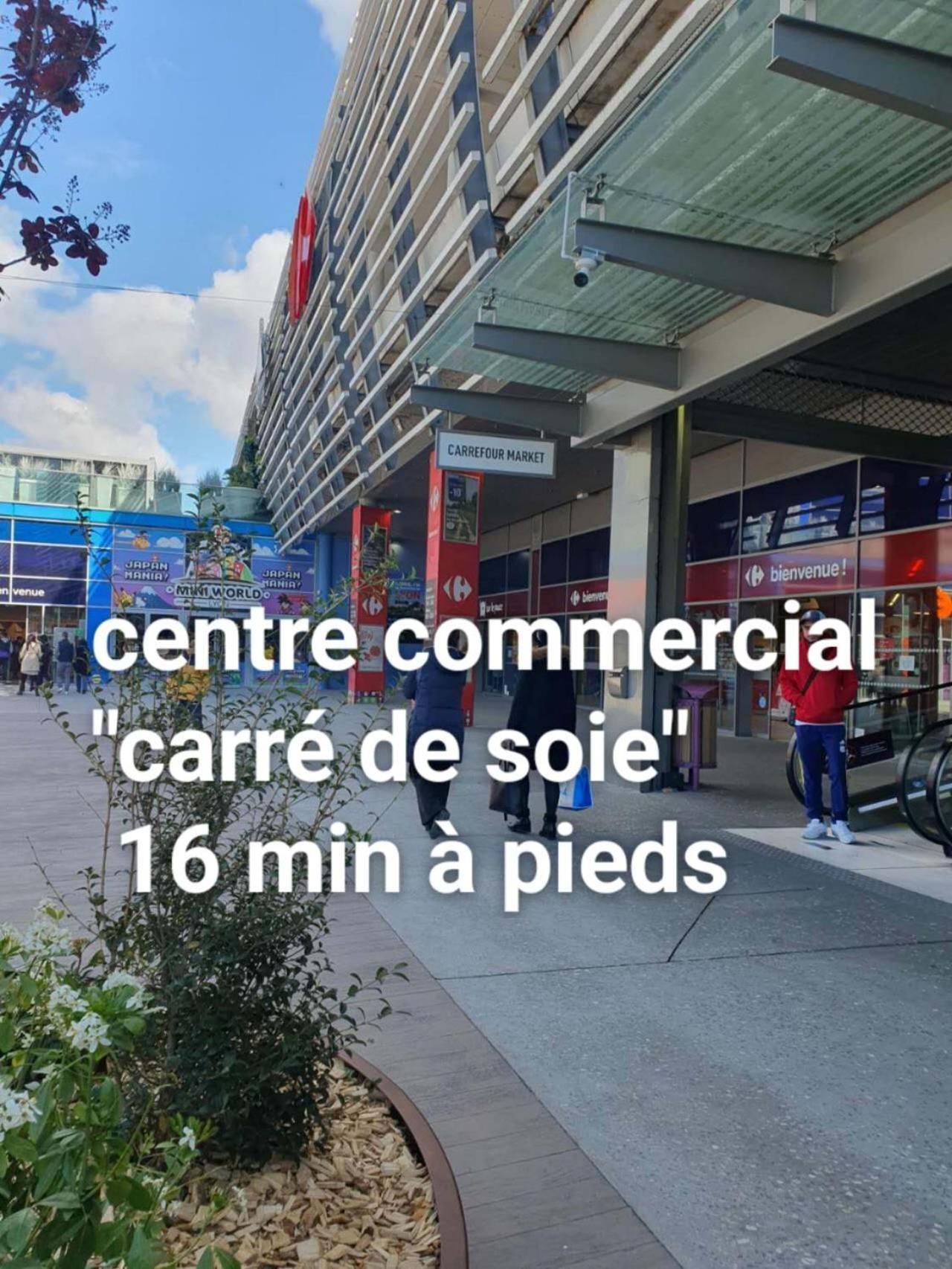 Medipole T2 Avec Un Garage Gratuit Sur Place, 16Min A Centre Ville Lyon En Metro A Villeurbanne Buitenkant foto